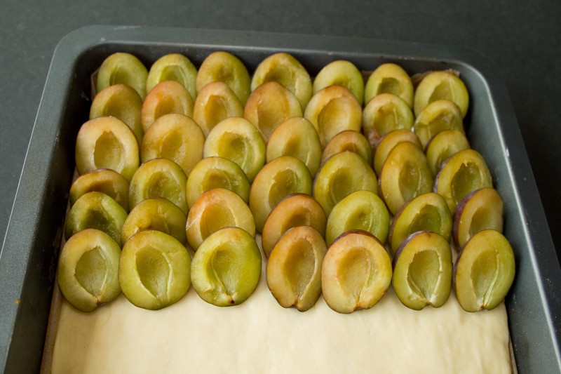 Layering the plums for the Plum Yeast Tarte